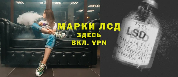 ешки Аркадак