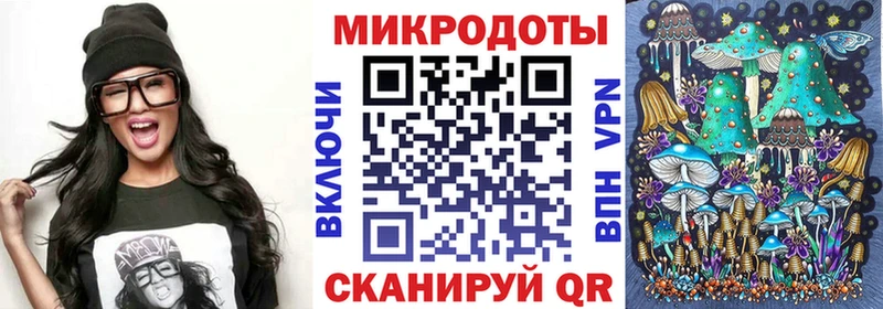 kraken зеркало  Суоярви  Псилоцибиновые грибы GOLDEN TEACHER 